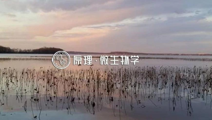 2025澳门正版资料免费大全8,典故解疑_优选版V5.83