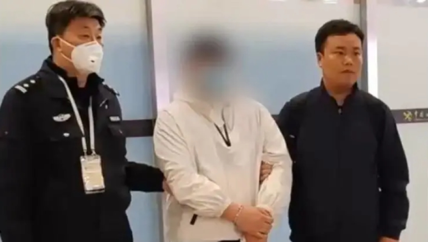 澳门神算子心水资枓论坛,张伟丽感受到澳大利亚粉丝的热情,准确资料解释落实_标配版V5.70
