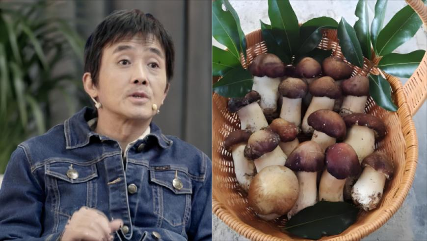 香港码开奖记录2025年,迪丽热巴芭比造型路透,最新热门解答落实_探索版V7.53